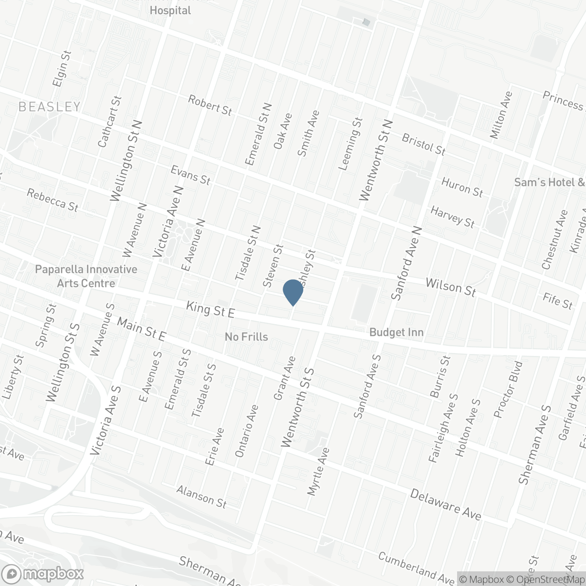 455 KING WILLIAM STREET, Hamilton, Ontario L8L 1R1